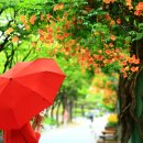 부천중앙공원 이미지