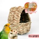 둥지 - 계룡시 엄사중앙로 102 | 둥지