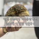 동우세차장 | 인천 게코 분양 파충류샵 리치맨 인천점 방문 후기