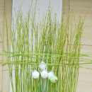 영남대학교 환경 이미지