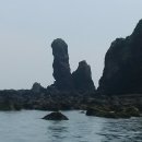 제주섬마리 이미지