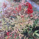 공릉동근린공원 이미지