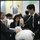 유어라운지 이미지