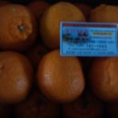 영서농장 이미지