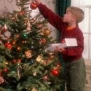 오롯이 스테이 인 양구 이미지