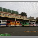 정자항 공원 이미지