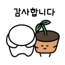 세요각시 이미지