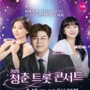 호댄스 콘서트 이미지