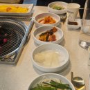 호성동 맛집 전주식육식당 숯불향 입힌 뼈갈비 찐 후기