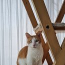 브이농장 이미지