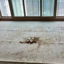 관악역우방유쉘아파트 앞 | 대구 도배 &amp; 대구 인테리어 필름 | 율하동 < 율하 우방 아이유쉘 > 전체 도배 시공 &amp; 전체 필름 시공