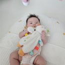 블루포니 | 모윰 포니 손목치발기 후기, 이앓이 시작할 때 언제부터 사용할까?