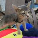 조은느낌 이미지