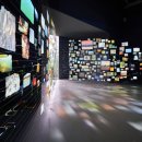 제주포도 이미지