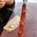 대만 타이페이 여행 펀트립 예스폭지 투어 예류/스린/스펀폭포/지우펀