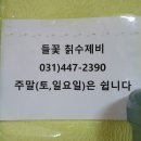 들꽃칡수제비 이미지