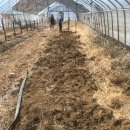 마지농원 이미지