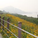 동서행정사 이미지