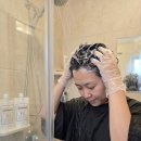 2754 | 노른자 볼륨매직 스트레이트 파마약 사용후기, 부드럽고 윤기 있는 셀프 볼륨매직