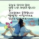 간세다리 이미지