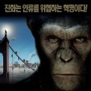 화이트웨일 이미지