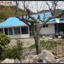 금당면-1 이미지