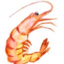 놀부보쌈과순두부
