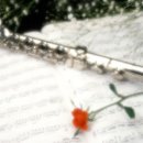 플릇사랑 이미지