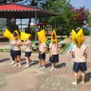 충주금릉초등학교 이미지