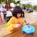 민농장 | 담양 감귤체험 추천 아이랑 꿈에그린체험농장 프로그램 즐기기