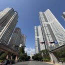 양덕동206 이미지