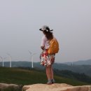 쌍둥이 목장 이미지