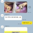멍돌하우스 이미지