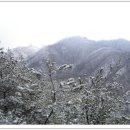 ◈ 천안 성거산(聖居山)·태조산(太祖山) 산행 ◈ 이미지