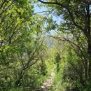 지리산옛술도가 이미지