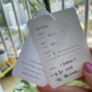울산 동구 꽃집 감성가득 인테리어 테소로 집들이 선물 후기