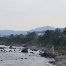 삼육두유포항대리점 이미지