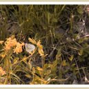 상신농장 이미지