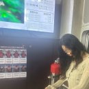 힐링요가 A팀 | 2026 디에어하우스 1일권 토-일 후기X 일기O