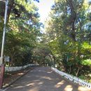 제주 사라봉 일제동굴진지 | 제주 별도봉과 사라봉, 일제 동굴진지 아침 1시간 산책코스