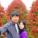 안덕농장 이미지