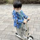 송화가루 시기 시작! 등원길 주의 시간과 아이 방 환기 및 유모차 청소 팁