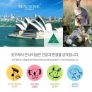 이엔에스 코리아 비어썸 표백제 후기 :-)