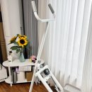 여자하체운동 실내 가정용 천국의계단 파티마 사용후기