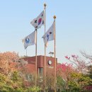 행복세탁수선 | ✂️ 수선기록⑩ 패션디자인과정｜세탁기능사·여성복기능사 필기시험 합격 후기