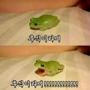 온한방병원 이미지