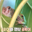 금복농장 이미지