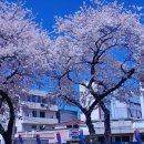 보랏빛향기 노래연습장 이미지