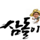 삼돌이인삼