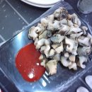 무안 쉴로 펜션 이미지